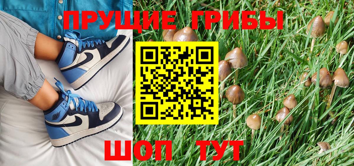 Галлюциногенные грибы Psilocybe  Вход с VPN  Лыткарино 