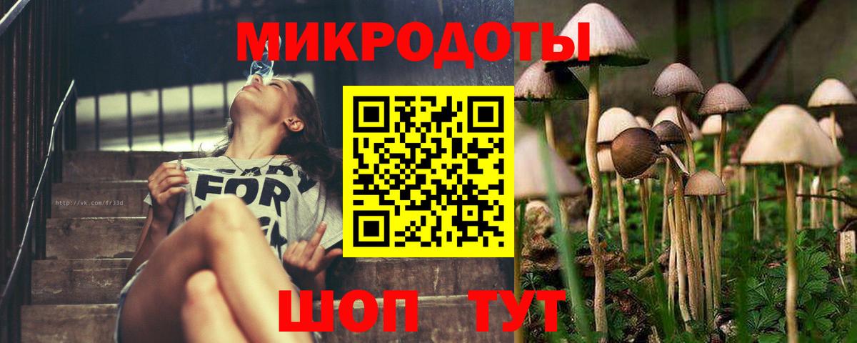 Псилоцибиновые грибы Magic Shrooms Лыткарино